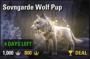 Sovngarde Wolf Pup