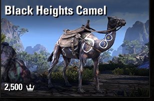 Black Heights Camel