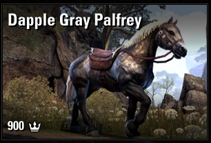 Dapple Gray Palfrey