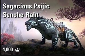 Sagacious Psijic Senche-Raht