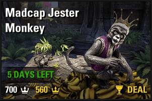 Madcap Jester Monkey