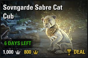 Sovngarde Sabre Cat Cub