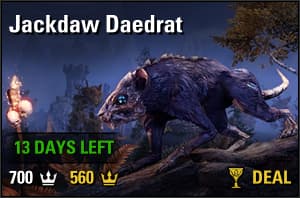 Jackdaw Daedrat