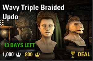 Wavy Triple Braided Updo