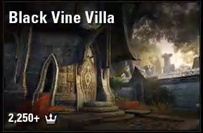 Black Vine Villa(Unfurnished)