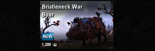 Bristleneck War Boar