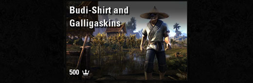 Budi-Shirt and Galligaskins
