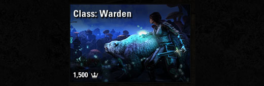 Class: Warden
