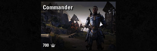 Commander