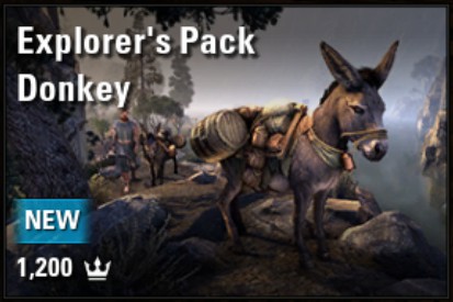 Explorer's Pack Donkey