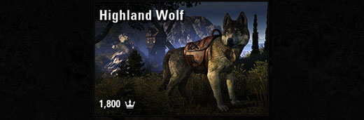 Highland Wolf