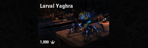 Larval Yaghra