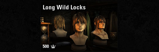 Long Wild Locks