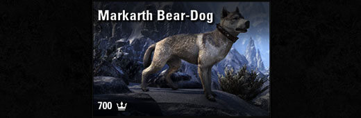 Markarth Bear-Dog