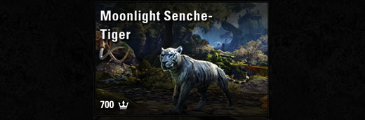 Moonlight Senche-Tiger