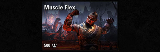 Muscle Flex