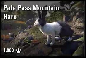 Pale Pass Mountain Hare