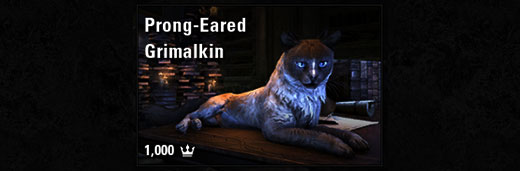 Prong-Eared Grimalkin