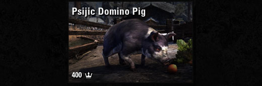 Psijic Domino Pig