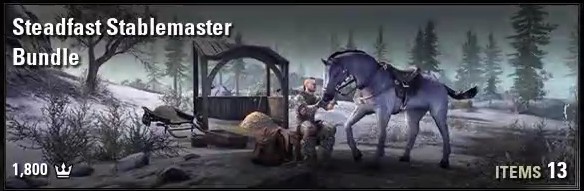 Steadfast Stablemaster Bundle