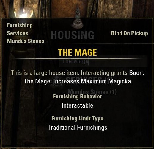 The Mage