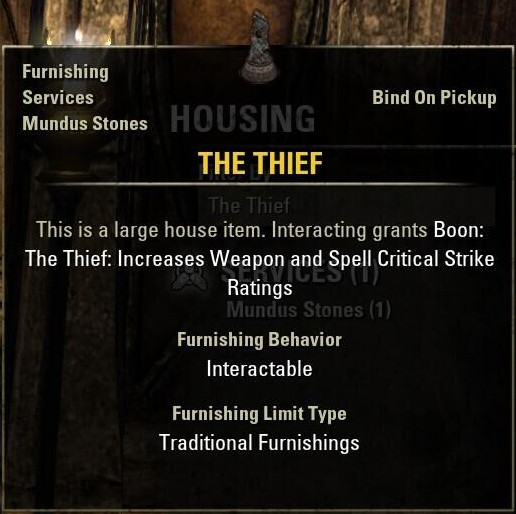 The Thief
