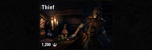 Thief